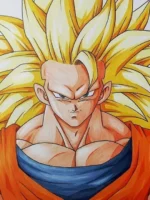 Goku foto capa